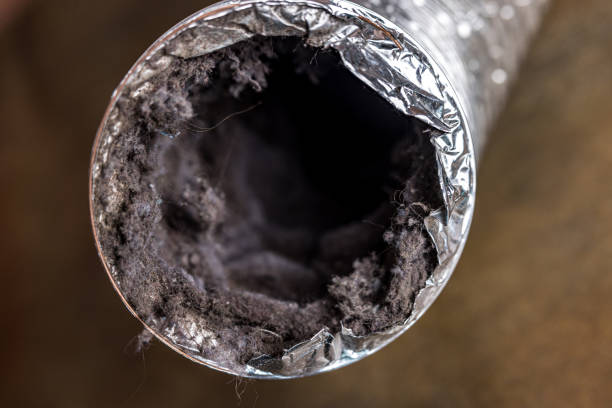 Best HVAC System Cleaning  in Morristown, IN